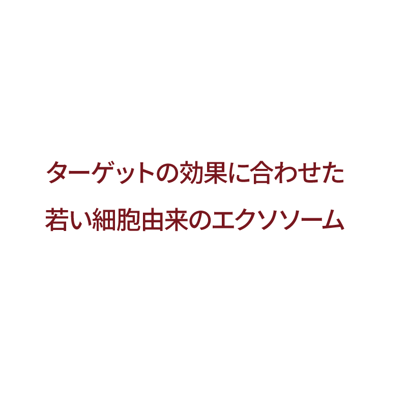 ターゲットの効果に合わせた若い細胞由来のエクソソーム
