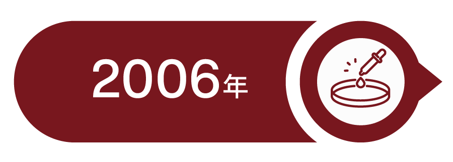2006年