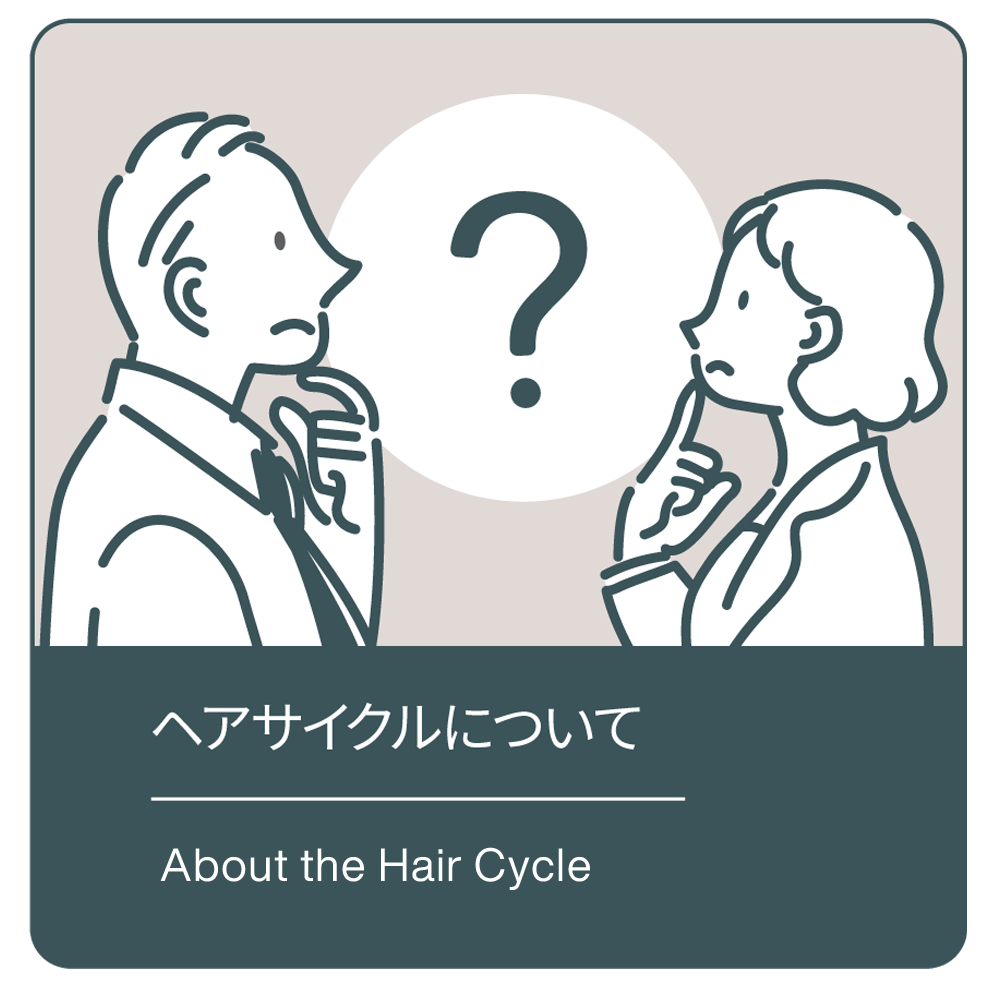 ヘアサイクルについて